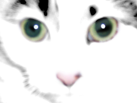 Humor, Horror, and Heavy Metal: IZZY &ndash; Queen Of The Cat People